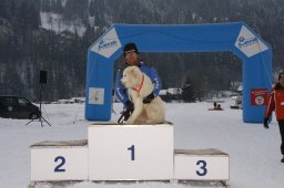 Lenk 2012 SM